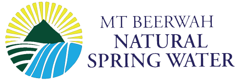 Sparkling spring water (box of 16)